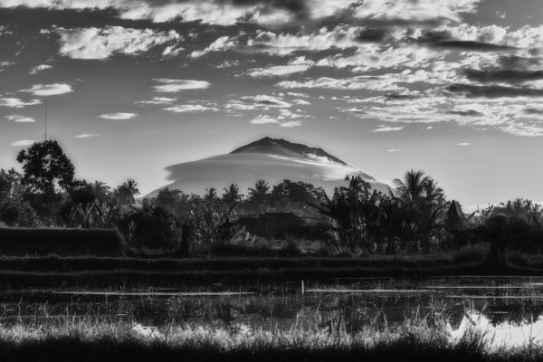 Mount Batur in Bali surrounded by a cloud, forest in the foreground. black and white